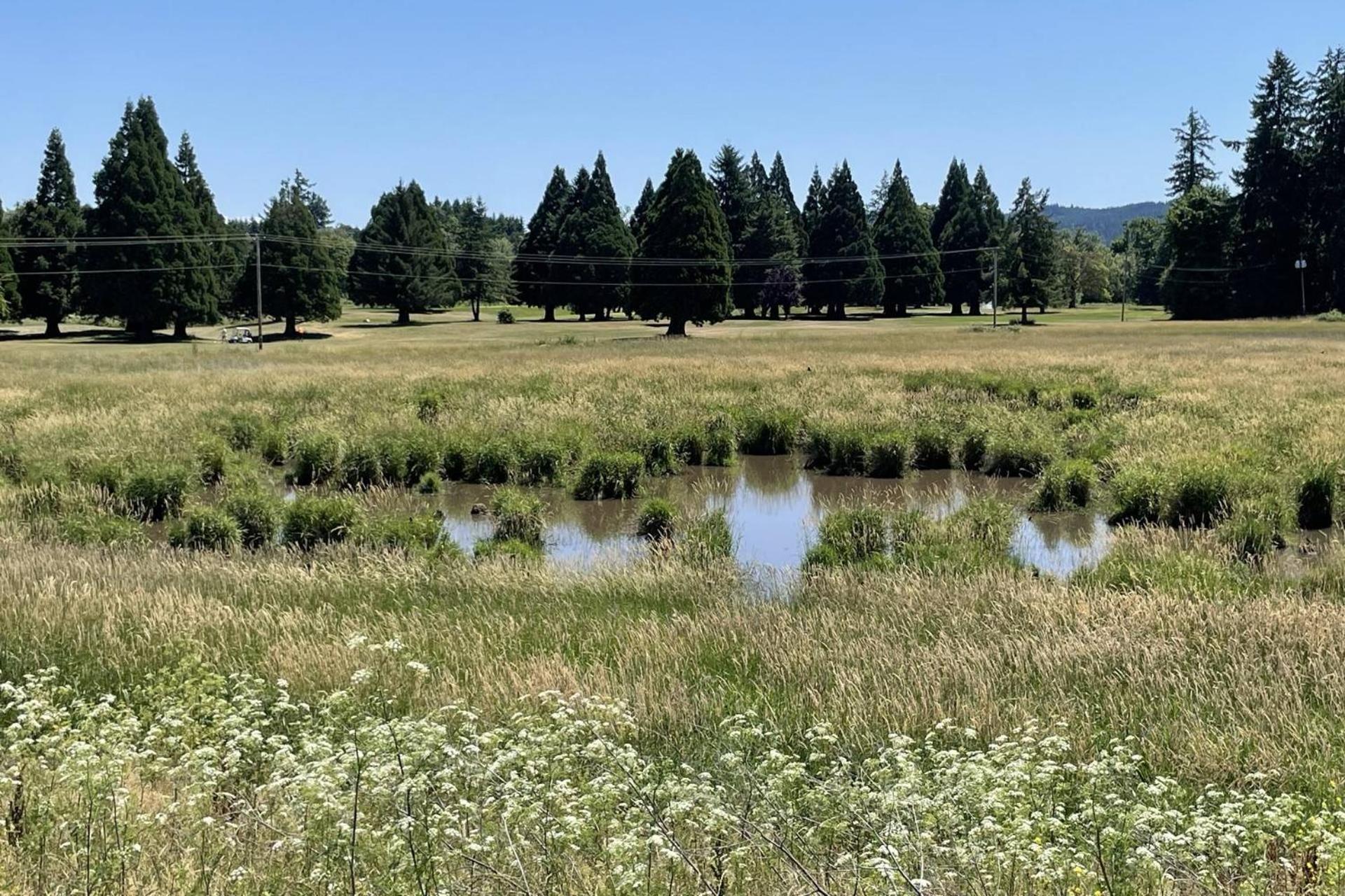 Jade'S View Estate Villa McMinnville Exterior photo